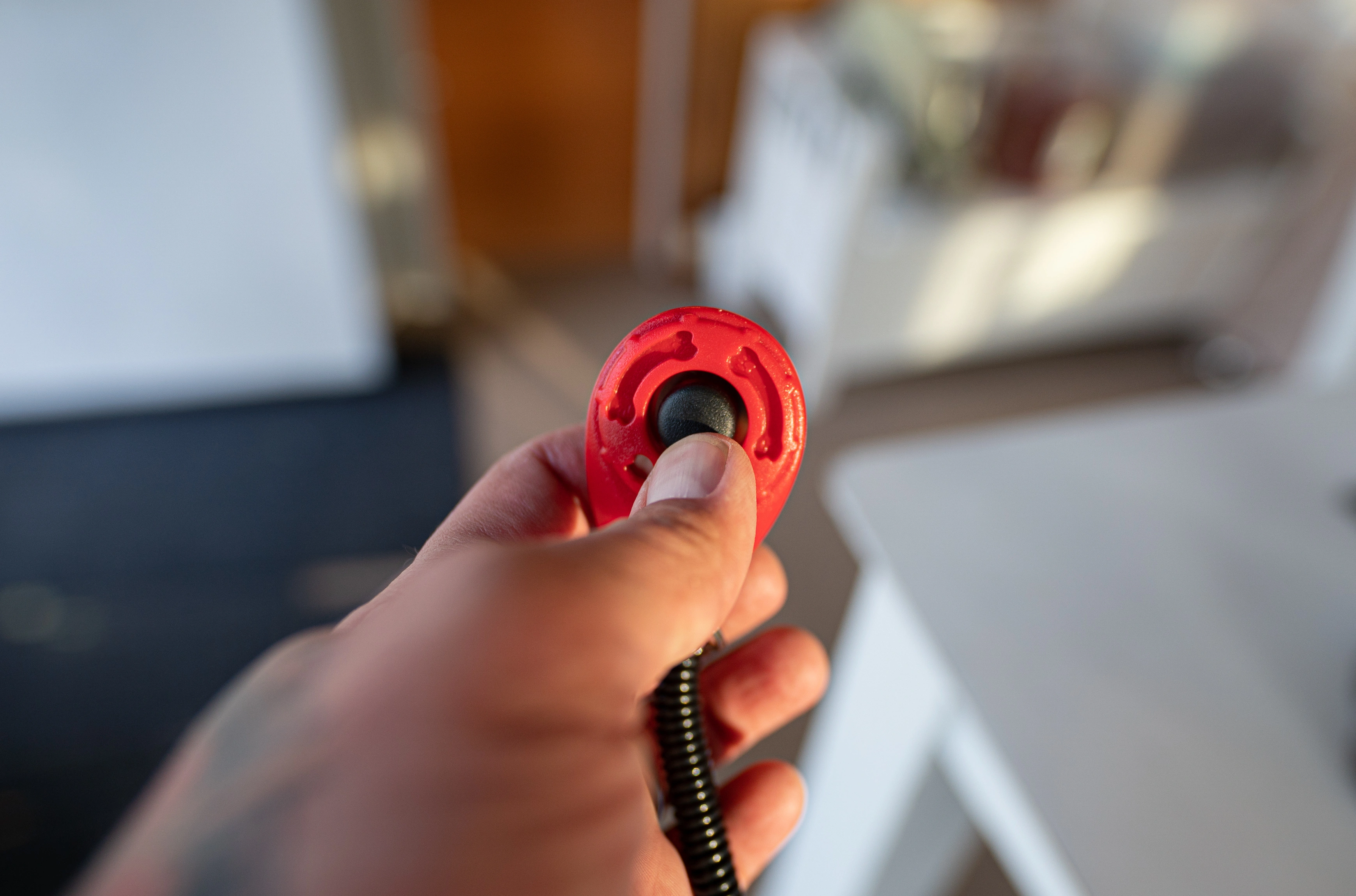 Hund beim Clickertraining mit einem leisen Hunde Clicker